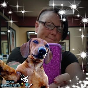 Meet your Posher, Dawn